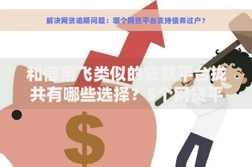 和信用飞类似的贷款平台拢共有哪些选择？5个网贷平台倒闭详解