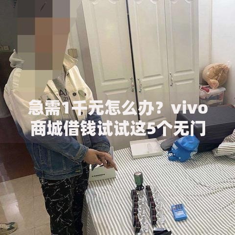 急需1千元怎么办？vivo商城借钱试试这5个无门槛平台