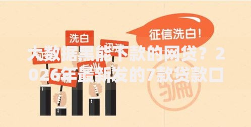 大数据黑能下款的网贷？2026年最新发的7款贷款口子