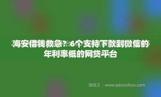 海安借钱救急？6个支持下款到微信的年利率低的网贷平台