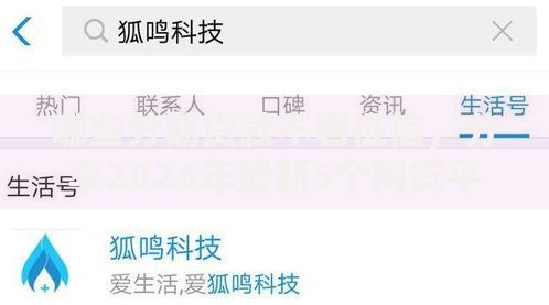 哪些分期贷款不看征信，分享2026年最新5个网贷平台可以贷款