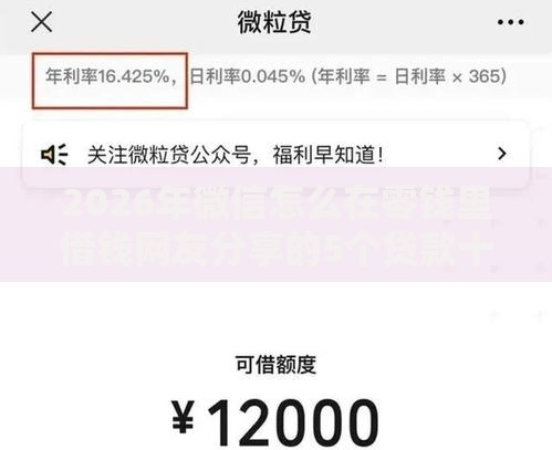 2026年微信怎么在零钱里借钱网友分享的5个贷款十大平台我觉得不错！