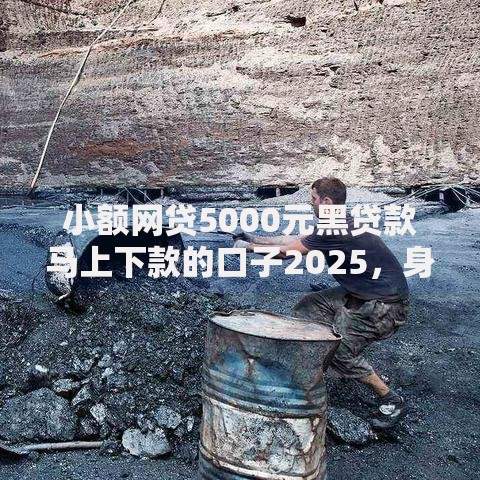 小额网贷5000元黑贷款马上下款的口子2025，身份验证借钱的6个平台介绍