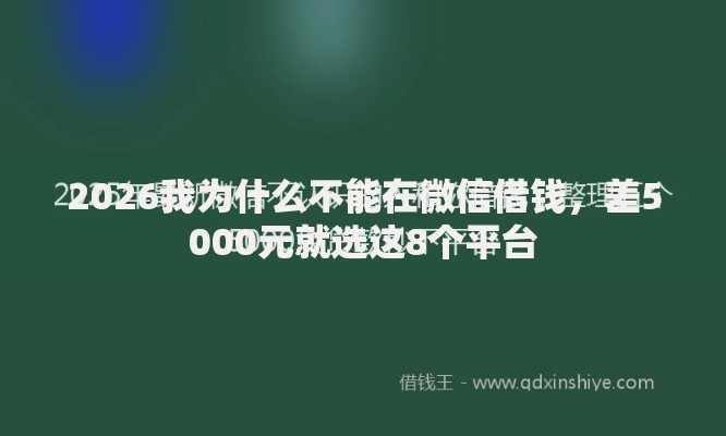 2026我为什么不能在微信借钱，差5000元就选这8个平台