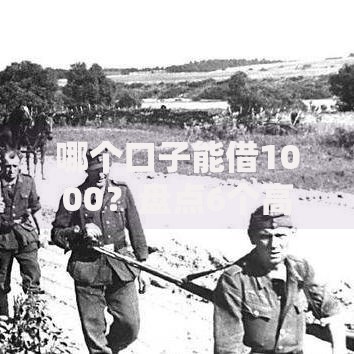 哪个口子能借1000？盘点6个高炮贷款平台给你参考