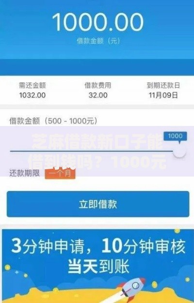 芝麻借款新口子能借到钱吗？1000元无门槛借款8个平台推荐