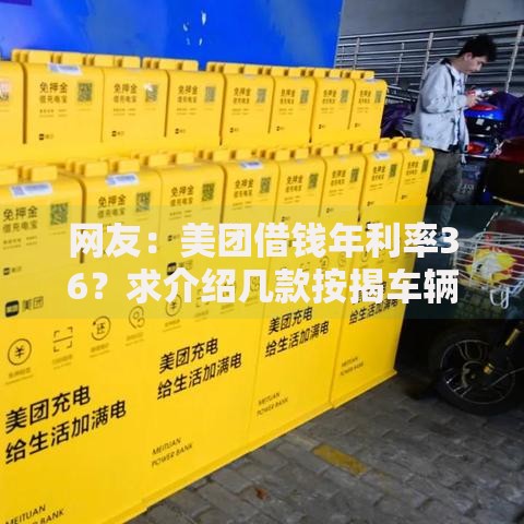 网友：美团借钱年利率36？求介绍几款按揭车辆贷款平台