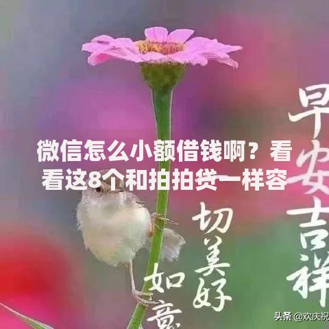 微信怎么小额借钱啊？看看这8个和拍拍贷一样容易借钱的平台怎么样