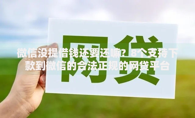 微信没提借钱还要还嘛？8个支持下款到微信的合法正规的网贷平台