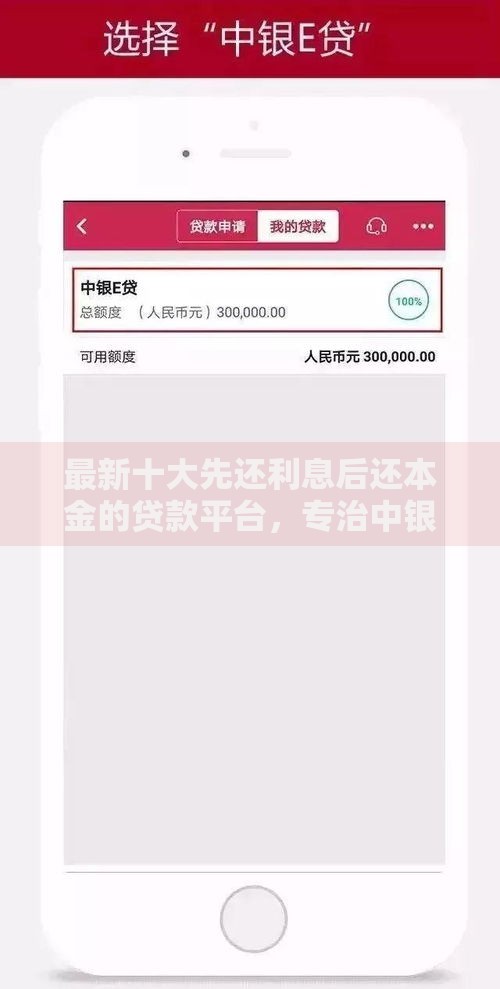 最新十大先还利息后还本金的贷款平台，专治中银e贷授权公积金好下款嘛