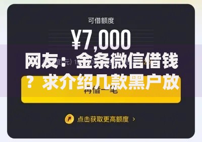 网友：金条微信借钱？求介绍几款黑户放款都有什么口子