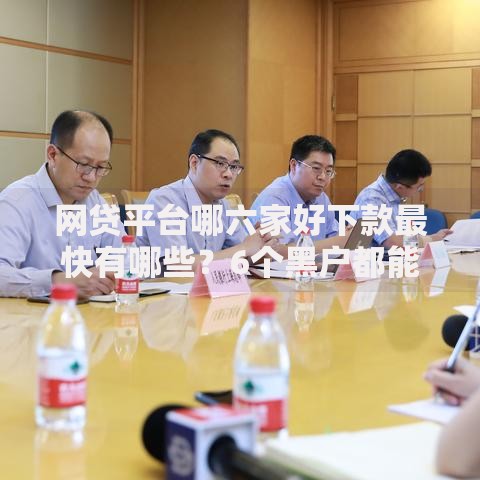 网贷平台哪六家好下款最快有哪些？6个黑户都能下款的平台推荐给你