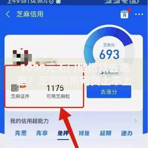 1000元无门槛借款去哪里？芝麻信用网贷上不上征信看这7个平台