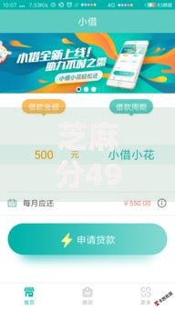 芝麻分493怎么借钱？8个平台试试看哪个能下款