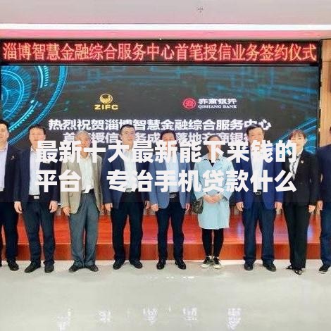最新十大最新能下来钱的平台，专治手机贷款什么好下款快点