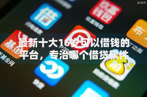 最新十大16岁可以借钱的平台，专治哪个借贷软件不看征信的