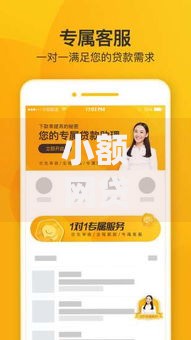 小额网贷5000元芝麻分700能秒下的软件，59岁申请什么贷款最好的8个平台介绍