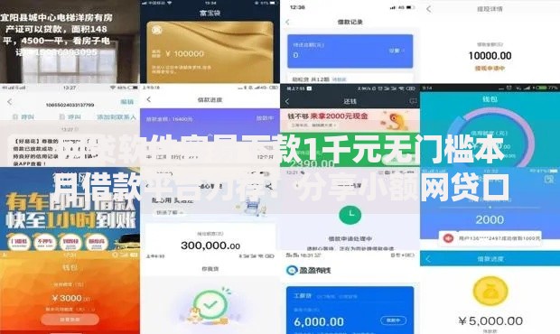 网贷软件容易下款1千元无门槛本月借款平台力荐！分享小额网贷口子1千元无门槛借款