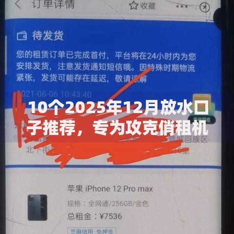 10个2025年12月放水口子推荐，专为攻克俏租机被拒怎么办难题