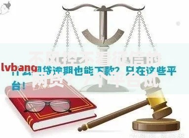 不风控不看征信的网贷？7个平台试试看哪个能下款