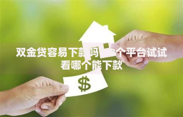 双金贷容易下款吗？8个平台试试看哪个能下款