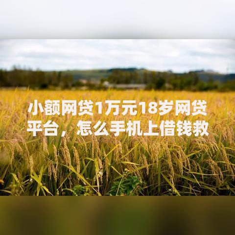 小额网贷1万元18岁网贷平台，怎么手机上借钱救急的7个平台介绍