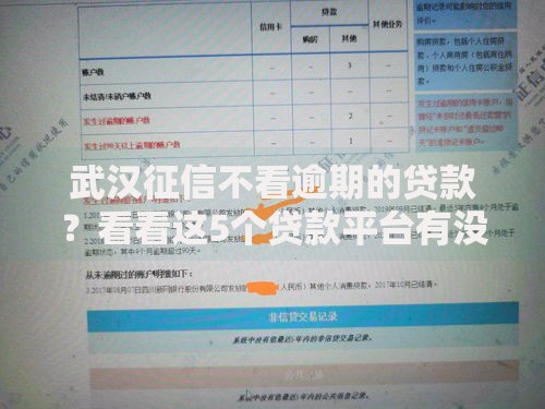 武汉征信不看逾期的贷款？看看这5个贷款平台有没有能下款的