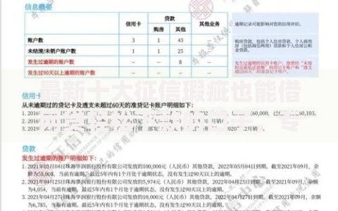 最新十大征信瑕疵也能借网贷轻松下款的口子,专治无视征信的小额贷款 最新十大征信瑕疵也能借网贷轻松下款的口子,专治无视征信的小额贷款