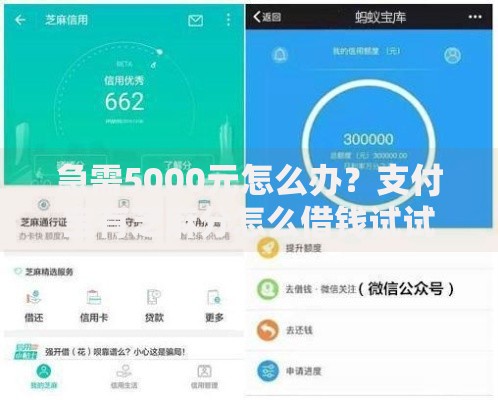 急需5000元怎么办？支付宝有芝麻分怎么借钱试试这7个无门槛平台