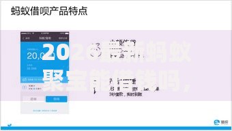 2026最新蚂蚁聚宝能借钱吗，总结十个黑户真正能借到款的口子！