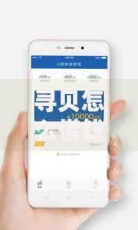 寻贝怎么借钱到微信（最新发布！）8个大学生小额贷款平台