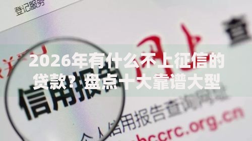 2026年有什么不上征信的贷款？盘点十大靠谱大型贷款平台