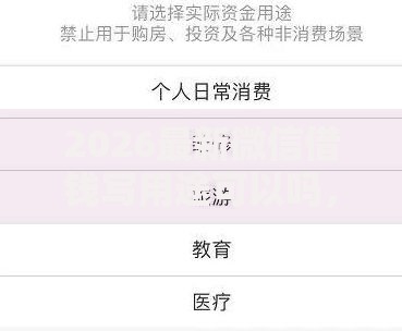 2026最新微信借钱写用途可以吗，总结十个网贷借款平台好贷！