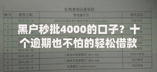 黑户秒批4000的口子？十个逾期也不怕的轻松借款无征信记录的app