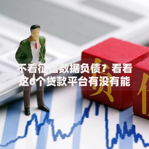 不看征信数据负债？看看这6个贷款平台有没有能下款的
