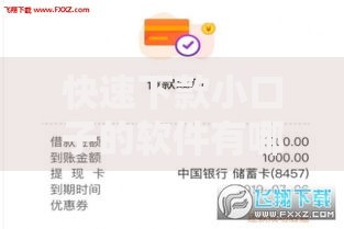 快速下款小口子的软件有哪些有哪些？8个容易贷款平台推荐给你