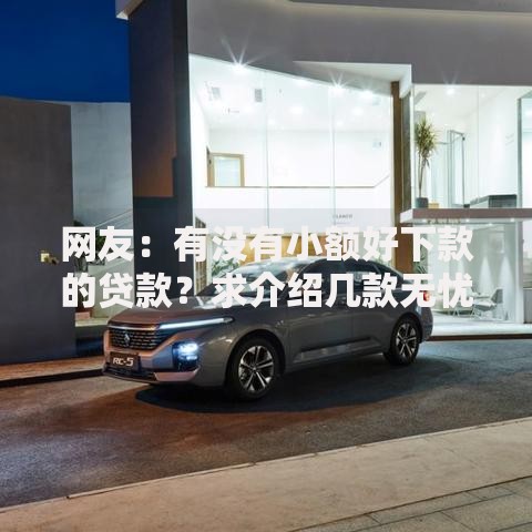 网友：有没有小额好下款的贷款？求介绍几款无忧速借当天放款的软件