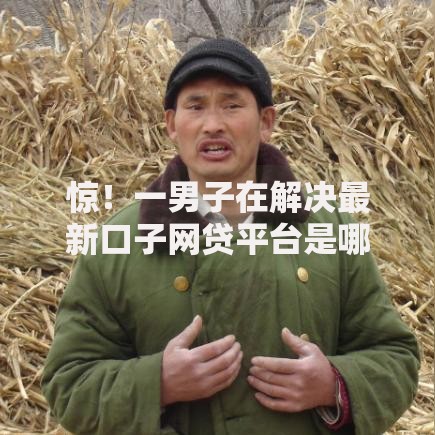 惊!一男子在解决最新口子网贷平台是哪个时竟然发现5个平台借钱快速安全容易通过,事后分享了出来 惊!一男子在解决最新口子网贷平台是哪个时竟然发现5个平台借钱快速安全容易通过,事后分享了出来