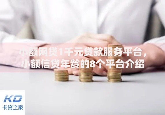 小额网贷1千元贷款服务平台，小额信贷年龄的8个平台介绍