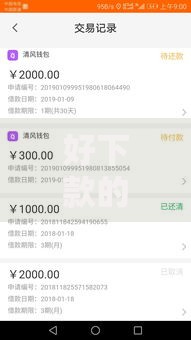 好下款的二手车贷款公司？这6个无视黑白100%秒下网贷口子值得一试