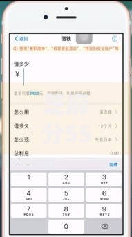 芝麻分555哪里可以借钱？盘点5个不征信的下款平台看给你参考