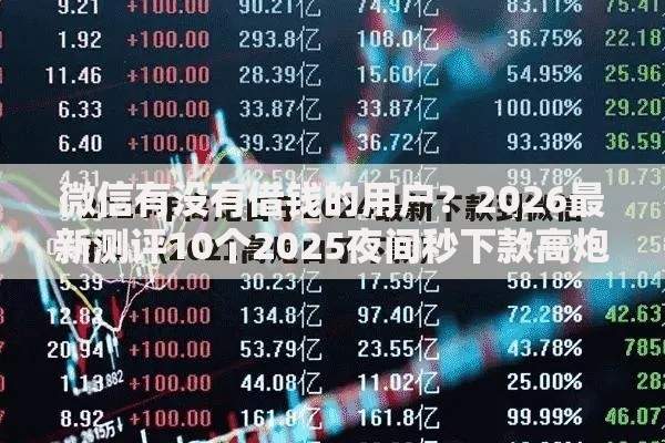 微信有没有借钱的用户？2026最新测评10个2025夜间秒下款高炮口子