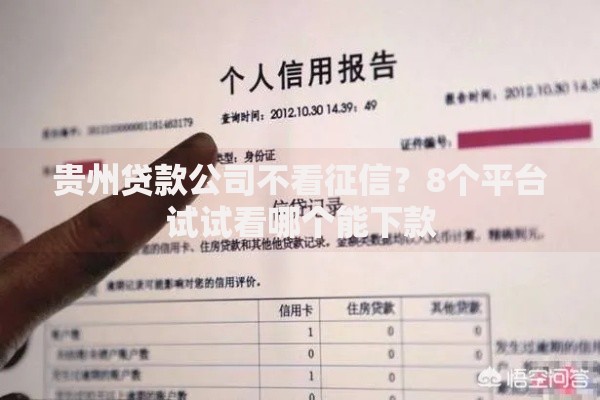 贵州贷款公司不看征信？8个平台试试看哪个能下款