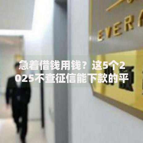 急着借钱用钱？这5个2025不查征信能下款的平台可以试试