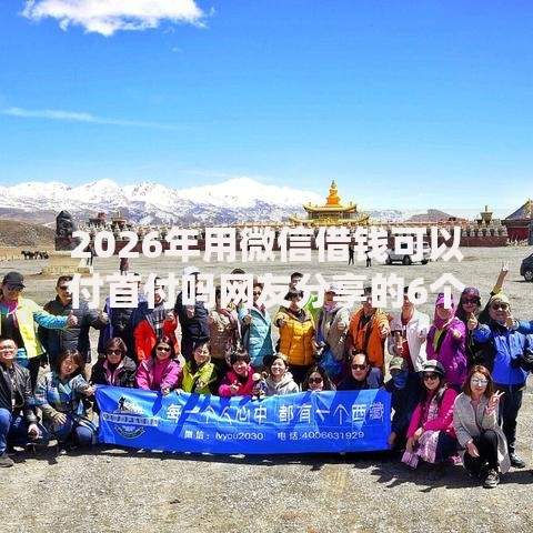 2026年用微信借钱可以付首付吗网友分享的6个不查征信的网贷平台我觉得不错！