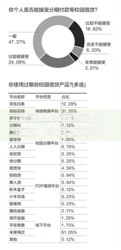 最新十大48期贷款平台，专治学生网上贷款平台
