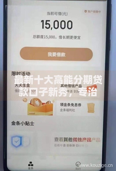 最新十大高能分期贷款口子新秀,专治21岁好下款的小贷 最新十大高能分期贷款口子新秀,专治21岁好下款的小贷