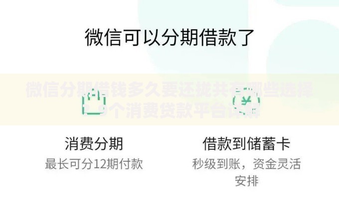 微信分期借钱多久要还拢共有哪些选择?9个消费贷款平台详解 微信分期借钱多久要还拢共有哪些选择?9个消费贷款平台详解