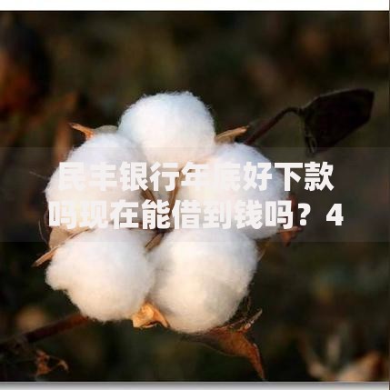 民丰银行年底好下款吗现在能借到钱吗?4千元无门槛借款8个平台推荐 民丰银行年底好下款吗现在能借到钱吗?4千元无门槛借款8个平台推荐
