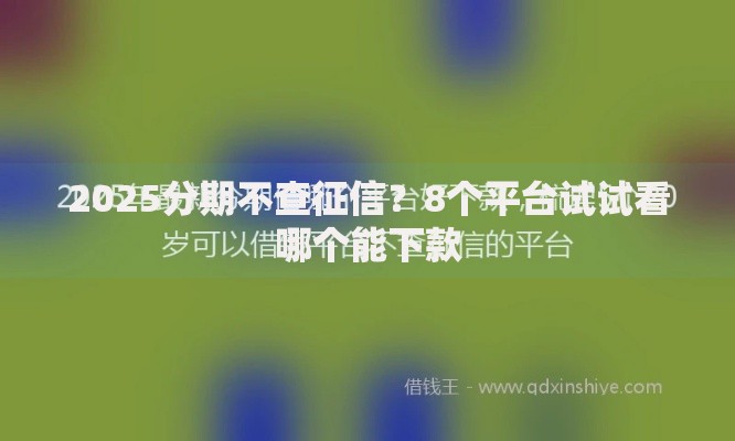 2025分期不查征信?8个平台试试看哪个能下款 2025分期不查征信?8个平台试试看哪个能下款